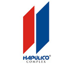 7. Logo Hapulico